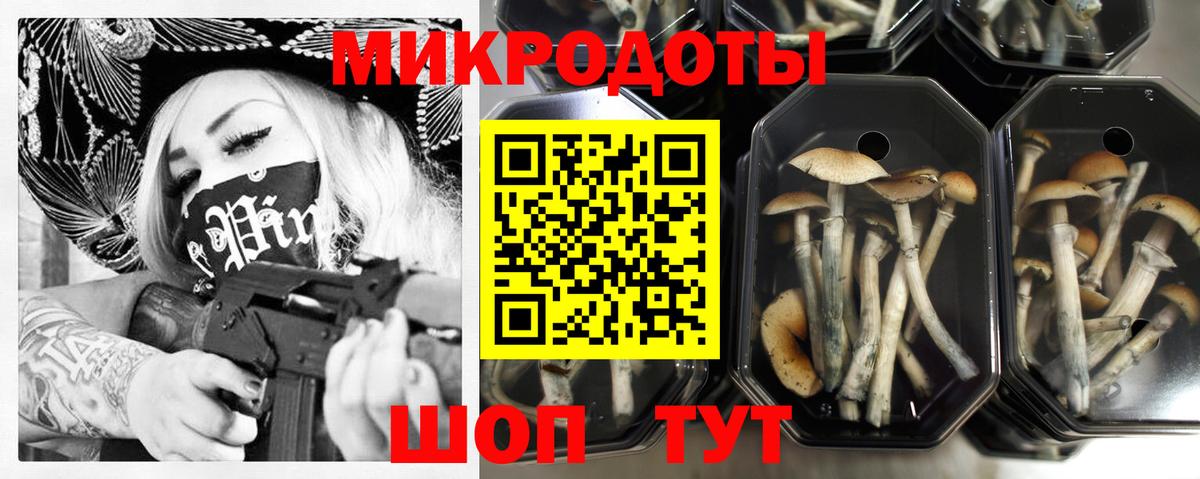 хочу наркоту  Галлюциногенные грибы Psilocybe  Вход с VPN  Красноярск 